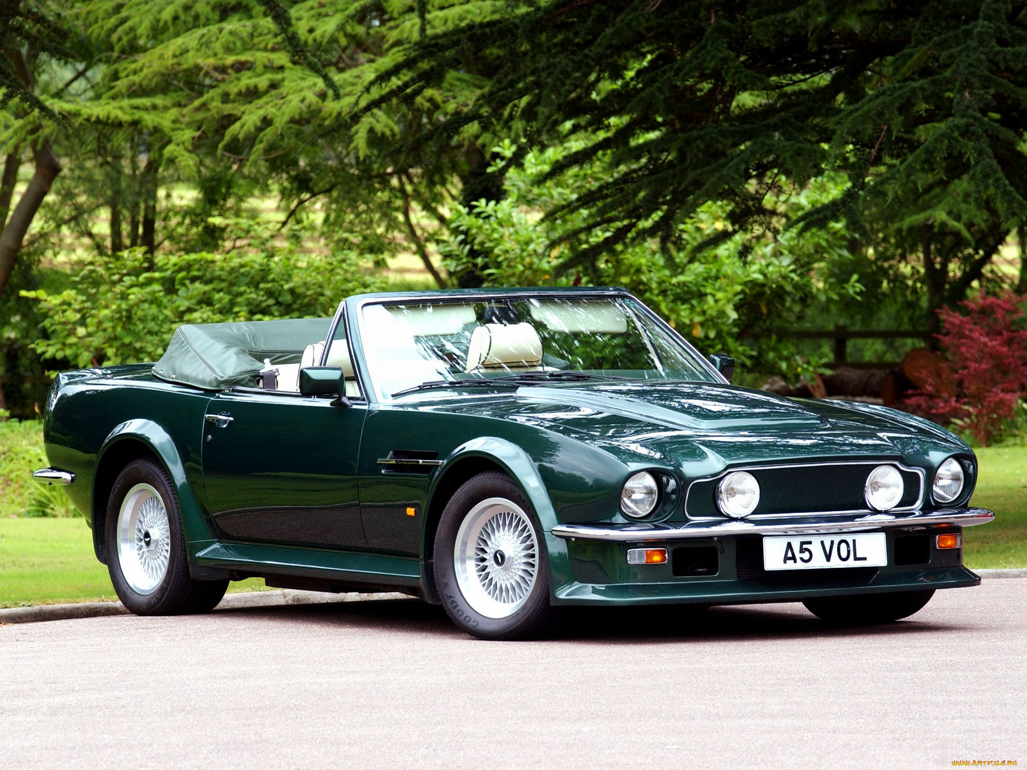 Aston Martin v8